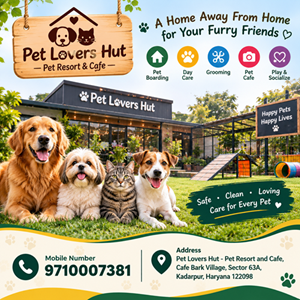 Pet Lovers Hut - Pet Resort GURUGRAM